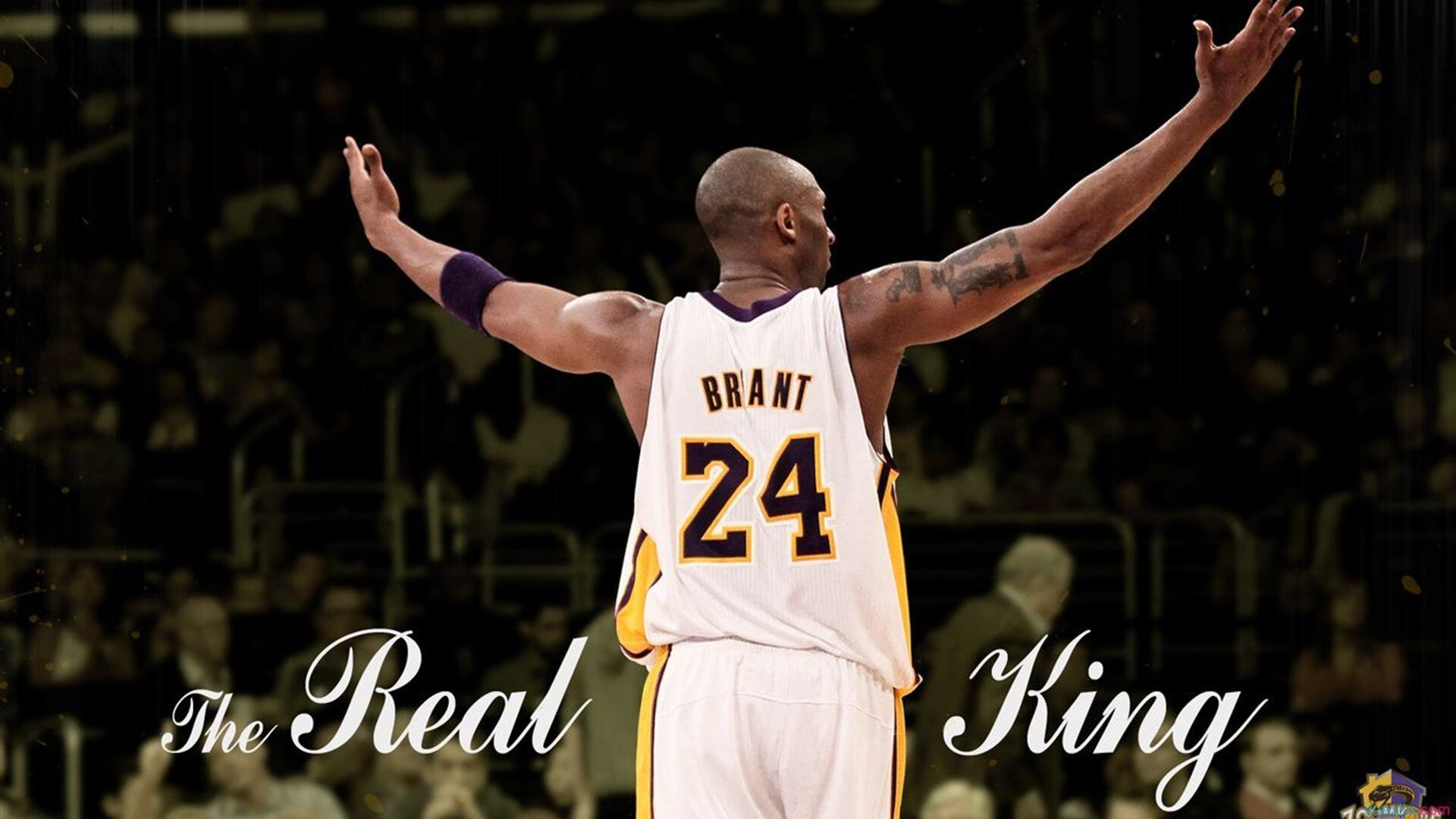 辽宁队横扫湖人，当锡安成为大场面先生